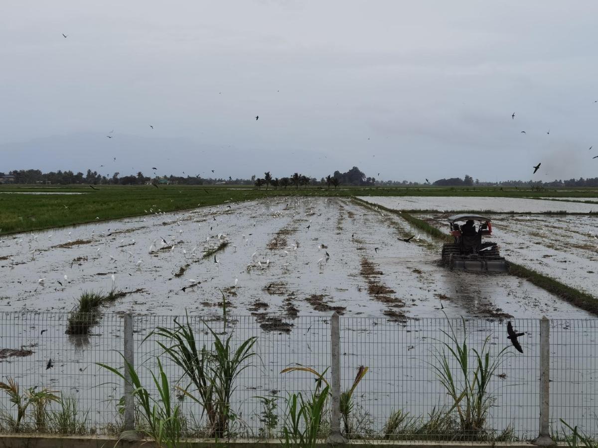 Dangau Sala D'Kontena อลอร์สตาร์ ภายนอก รูปภาพ