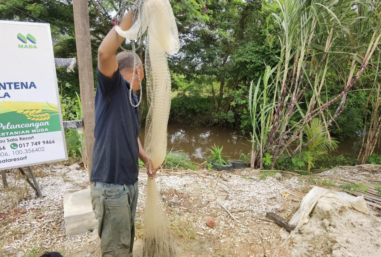 Dangau Sala D'Kontena อลอร์สตาร์ ภายนอก รูปภาพ