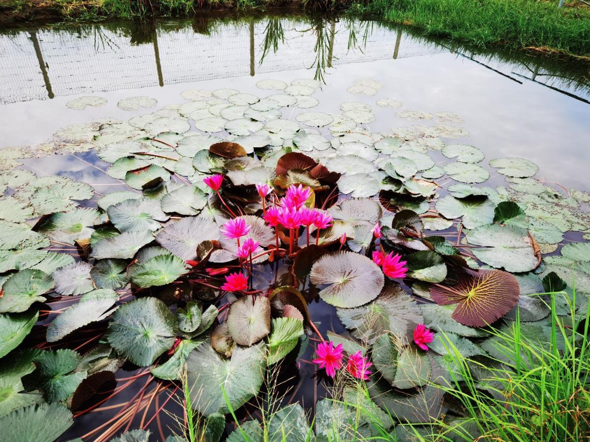 Dangau Sala D'Kontena อลอร์สตาร์ ภายนอก รูปภาพ